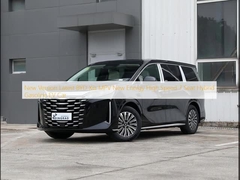 নতুন সংস্করণ লেটেস্ট বিওয়াইডি শিয়া এমপিভি নিউ এনার্জি হাই স্পিড ৭ সিট হাইব্রিড গ্যাসোলিন ইভি কার