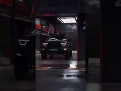 385Nm 185KW 252Ps 4WD 5 সিট 5 ডোর 2.0T ট্যাঙ্ক 400 এসইউভি পেট্রল জ্বালানী নতুন গাড়ি