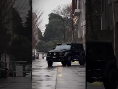 ভাল অবস্থায় নতুন সংস্করণ 3.0T ট্যাঙ্ক 300 এসইউভি 4WD হাইব্রিড ইভি পেট্রল নতুন গাড়ি